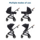 Maxi-Cosi Tayla Max Stroller in Onyx Wonder