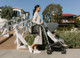 UPPAbaby G-Luxe Stroller In Jordan (Charcoal/Silver)