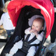 Ergobaby 180 Reversible Stroller in Red