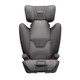 Nuna AACE Booster Car Seat in Granite