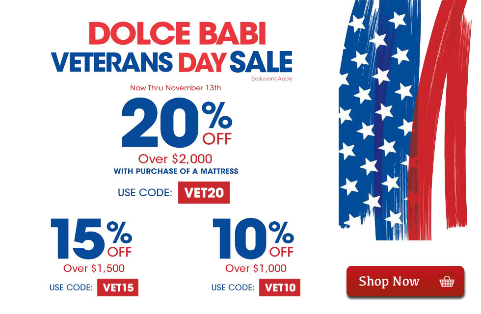 veterans-day-sale-2017.jpg