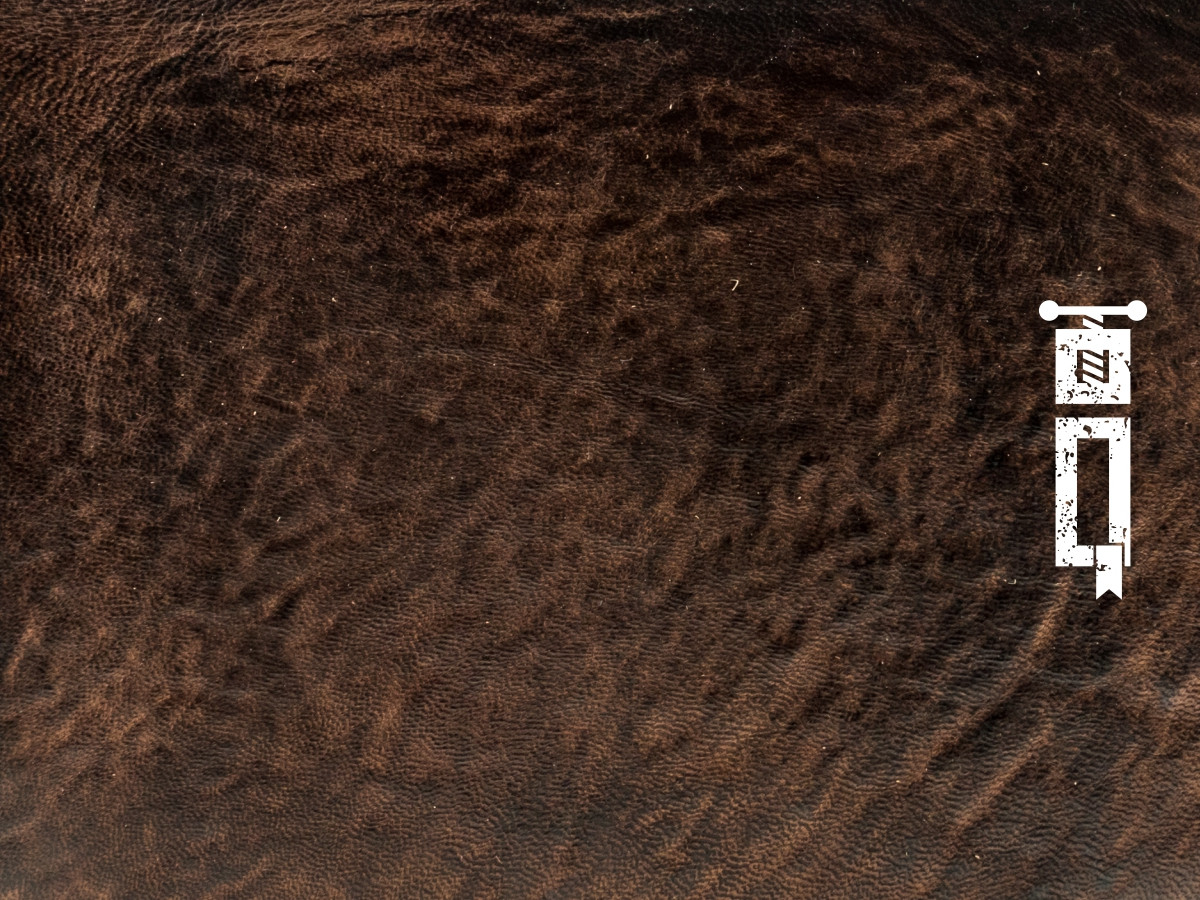 Banner Quaderni Narcissus