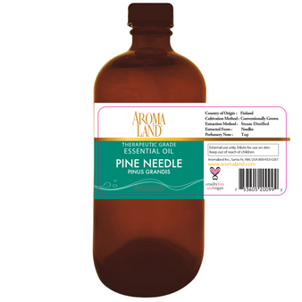 Pine Needle Essential Oil