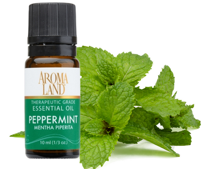 Essential Oil Excellence at an Affordable Price