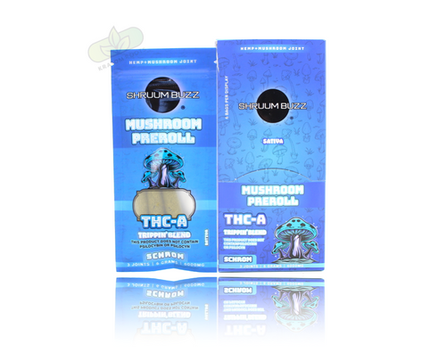 Shruum Buzz - Mushroom + THCA Pre-Rolls ( 6,000MG / Display of 6 )