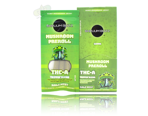 Shruum Buzz - Mushroom + THCA Pre-Rolls ( 6,000MG / Display of 6 )