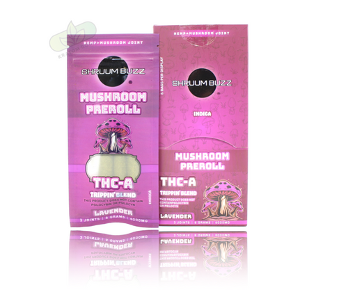 Shruum Buzz - Mushroom + THCA Pre-Rolls ( 6,000MG / Display of 6 )