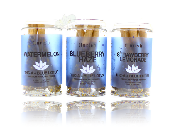 Fluish - THCA + Blue Lotus Half Gram Pre-Roll (5 Joints Per Jar)