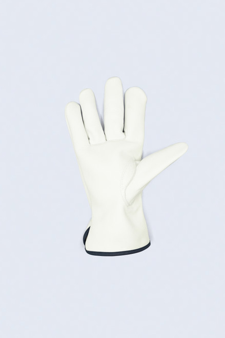 ScanDriver (12 pairs)