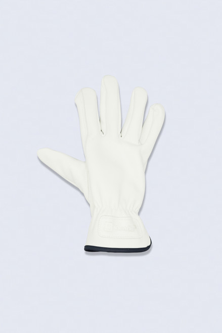 ScanDriver (12 pairs)