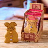 Gingerbread Bunny x100