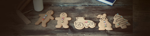 Novelty Gingerbread