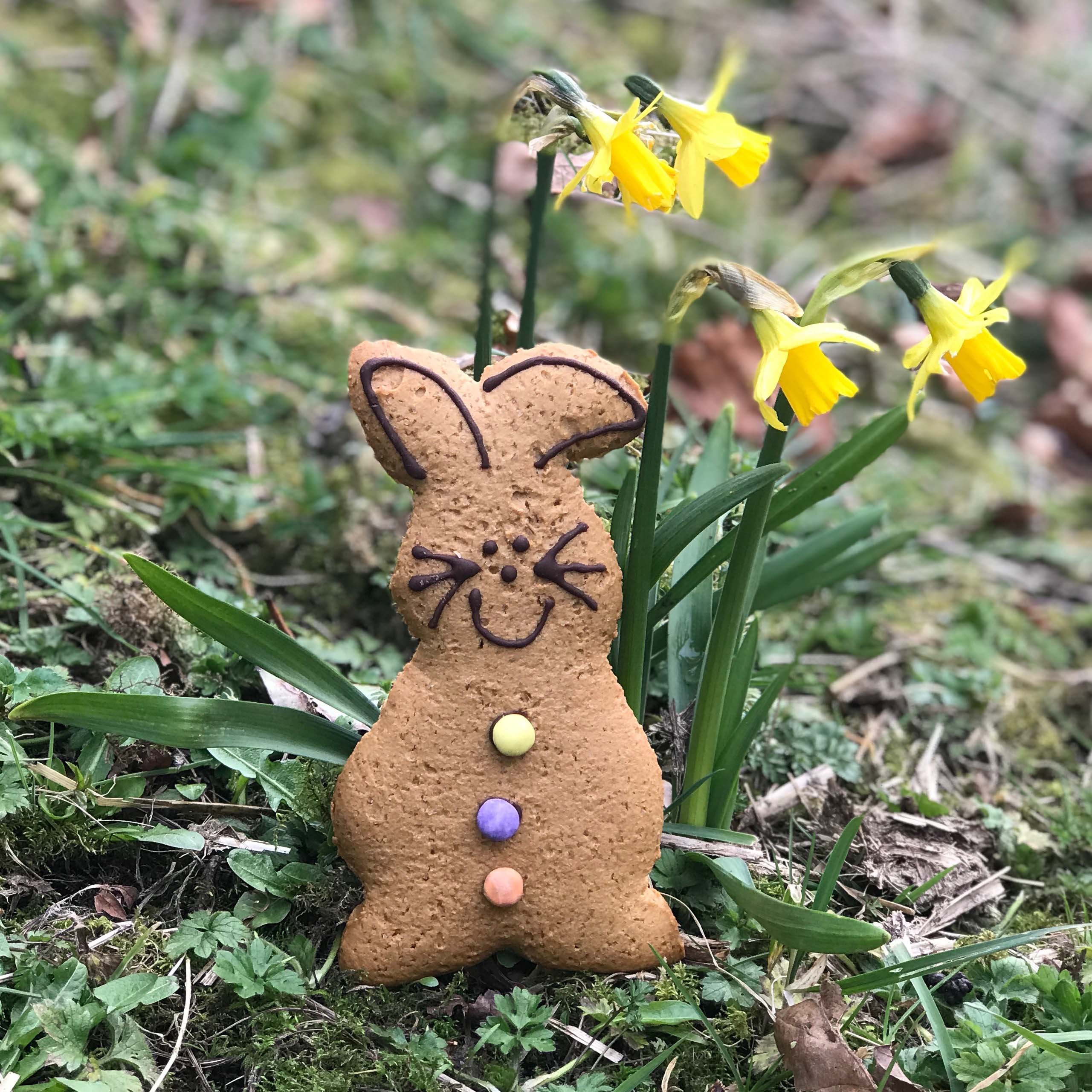 Gingerbread  Treats