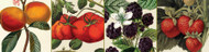 New Canaan Farms