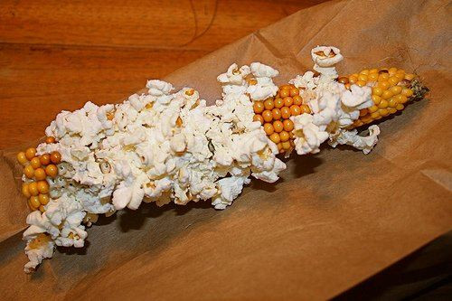 Uncle Osgood's Popcorn on the Cob