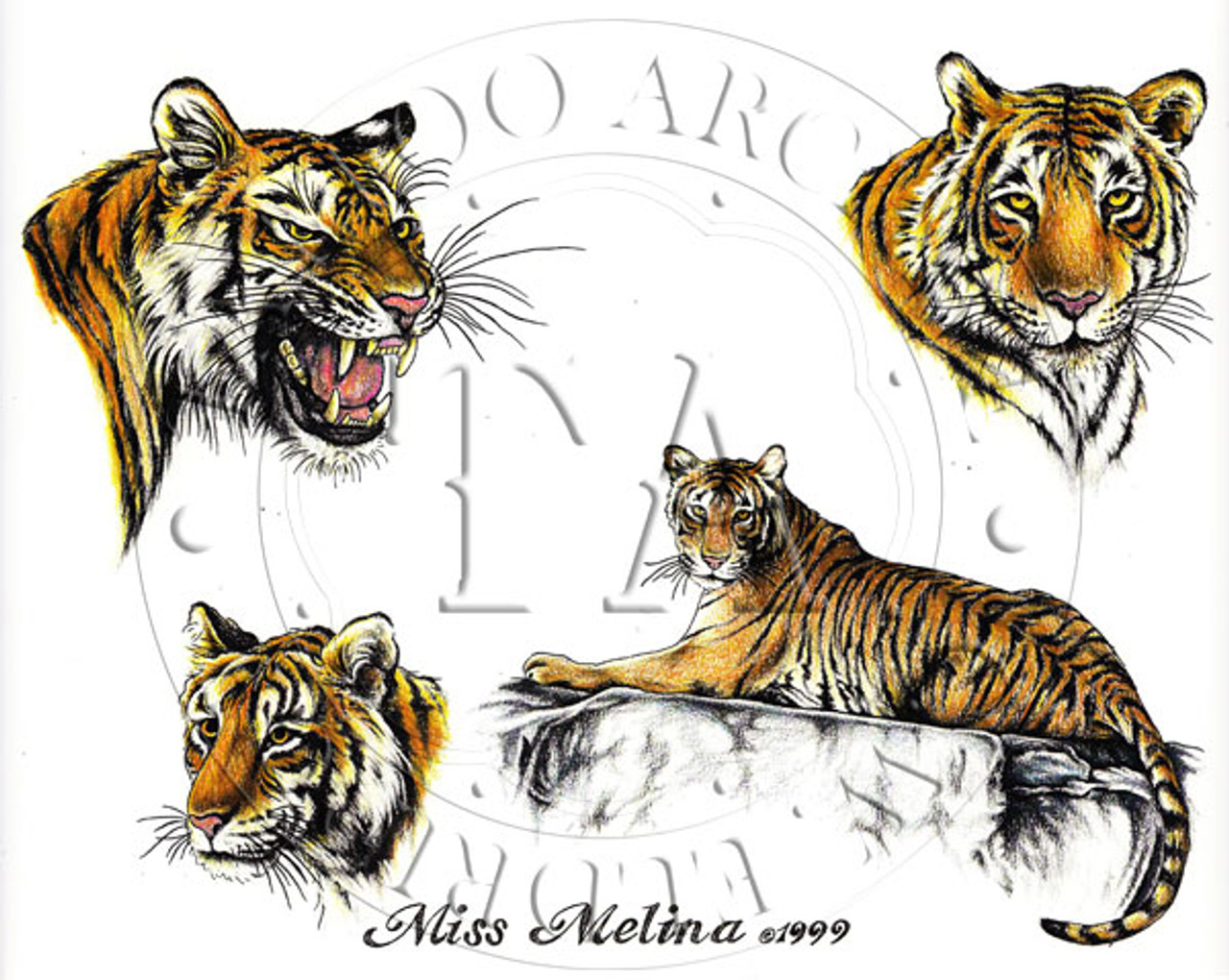 Tiger Tattoo Flash Art, Markers & Microns : r/TattooDesigns