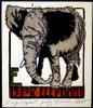 E is for Elephant