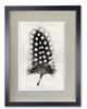 Framed Feather Print 1