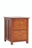 Coventry 2 drawer file cabinet