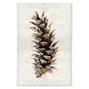 Western White Pine Print