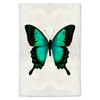 Butterfly Print #1