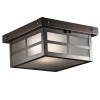 Bridgeview Ceiling Mount