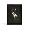 Dogwood Shadow Box by Michael Aram