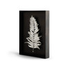 Fern Shadow Box Nickel by Michael Aram