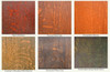 Wood Samples