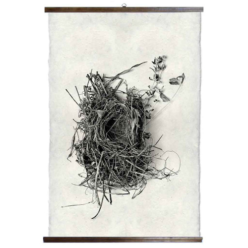 Grand Format Nest Study #1 Print with wood Hanger