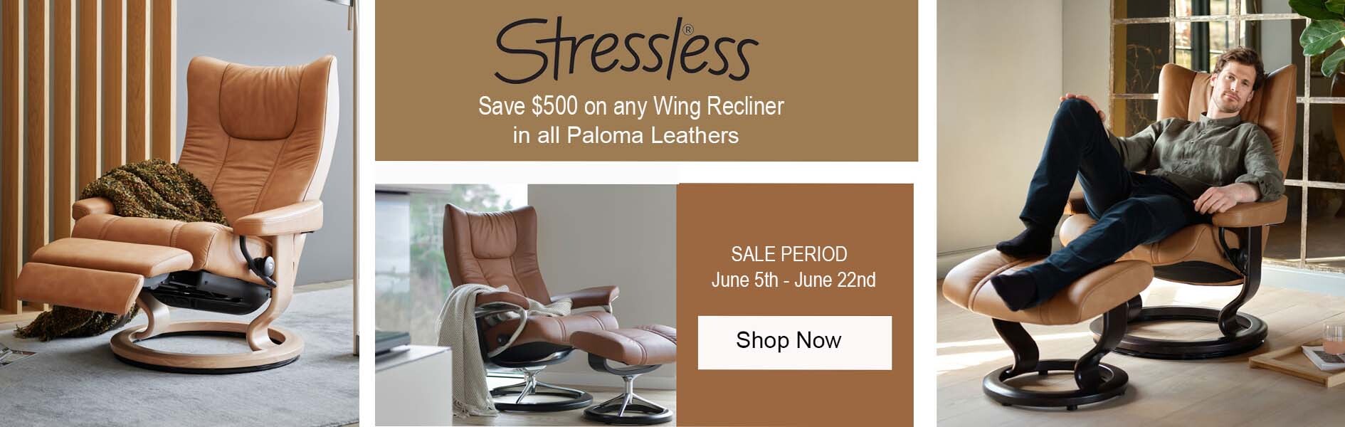 wing-promo-2026.jpg wing-promo-2026.jpg