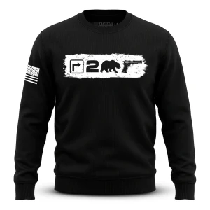 Right to Bear Arms v2