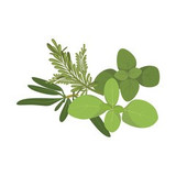 Neapolitan Herb Balsamic