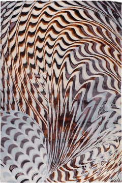 Pheasant by Chihuly - Flatshot