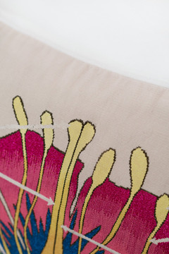 Botanical Anatomy Cushion by  - Close-up