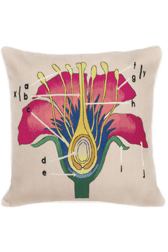 Botanical Anatomy Cushion by  - Flatshot