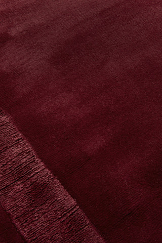 Keepers Red Silk Border rug by Farrow & Ball closeup image