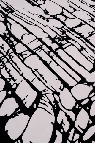 Veloura Steel by Lucinda Loya - closeup