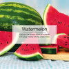  Little Trees U3S-32020-12PACK-3CTS Watermelon Hanging Air Freshener for Car/Home 12 Pack! 