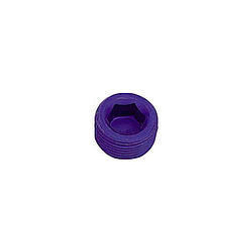 XRP-XTREME RACING PROD. Xrp-Xtreme Racing Prod. 993202 1/8in Allen Head Pipe Plug (2pk) 