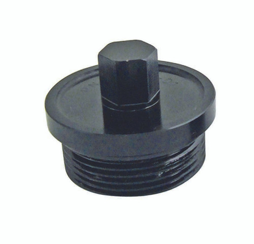 Winters Inspection Plug Large 9/16 Hex