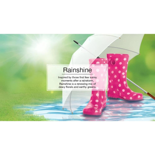 Little Trees Rainshine Hanging Air Freshener For Car & Home 6 Pack!   Little Trees Rainshine Hanging Air Freshener For Car & Home 6 Pack!