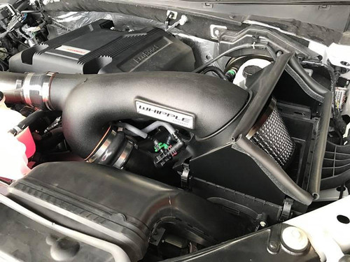  Whipple Superchargers 21-23 Ford F150 3.5L Ecoboost Cold Air Intake System 