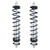 STRANGE Strange Double Adjustable Shock Kit W/Springs (Pair) S5006 