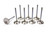 EDELBROCK Edelbrock 9641 Intake Valves - 2.140 (8) 