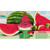  Little Trees Watermelon Hanging Air Freshener For Car & Home 6 Pack! 