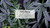  Little Trees U6P-67425-24PACK-6CTS Wild Hemp Hanging Air Freshener for Car & Home 24 Pack! 