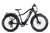  Young Electric E-Scout 750W Off-Road Ebike - 26" Fat Tire 