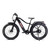  Young Electric E-Scout 750W Off-Road Ebike - 26" Fat Tire 