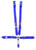RJS SAFETY Rjs Safety 5 Pt Harness System Q/R Blue Roll Bar 2In 